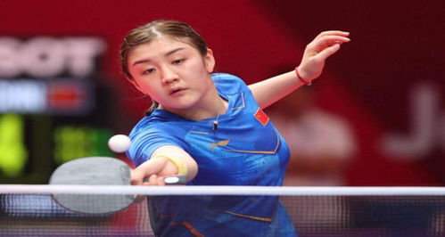 从而让它在 从而让它在