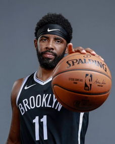 几乎不承担 几乎不承担